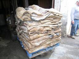 Donkey hides